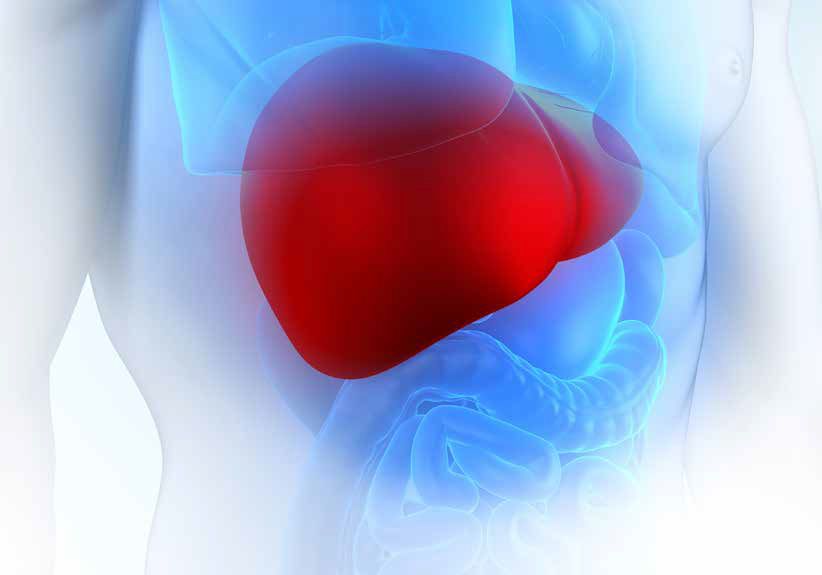 Урал АРГО в Екатеринбурге